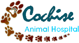 Animal Hospital in Scottsdale, AZ | Cochise Animal Hospital